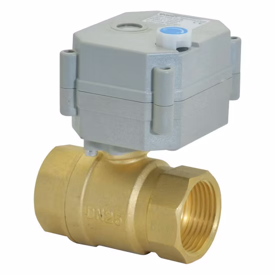 Hot 1′ ′ Bsp/NPT AC/DC9-24V Electric 2-Way Brass Motorized Ball Valve